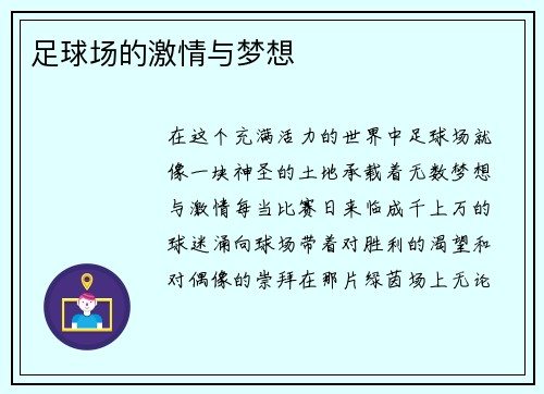 足球场的激情与梦想