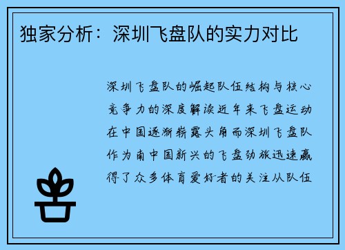 独家分析：深圳飞盘队的实力对比