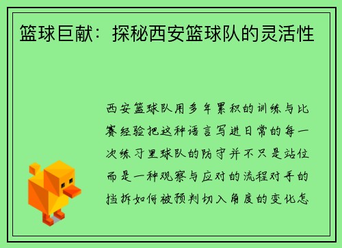 篮球巨献：探秘西安篮球队的灵活性
